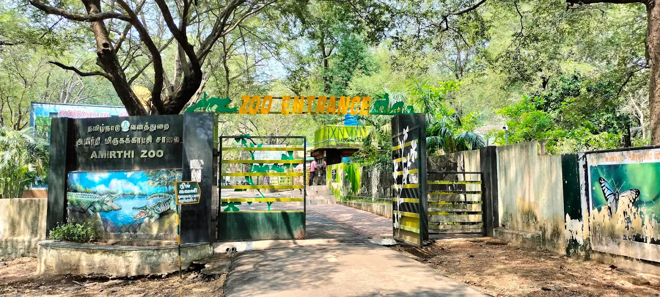 Amirthi Forest